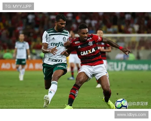 巴西足球盛事帕尔梅拉斯与弗拉门戈争夺南美解放者杯冠军